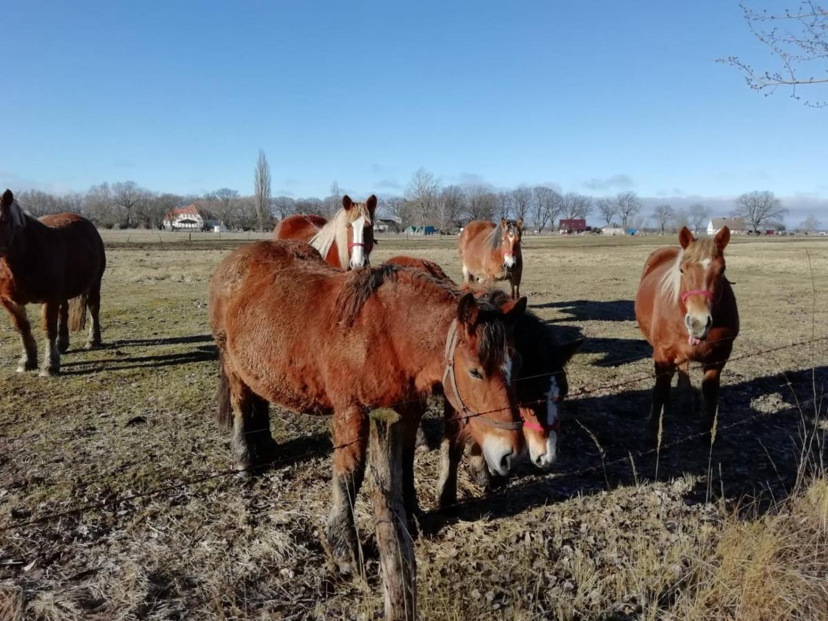 Domek Letniskowy Szuwarek Villa Świnoujście Exterior foto
